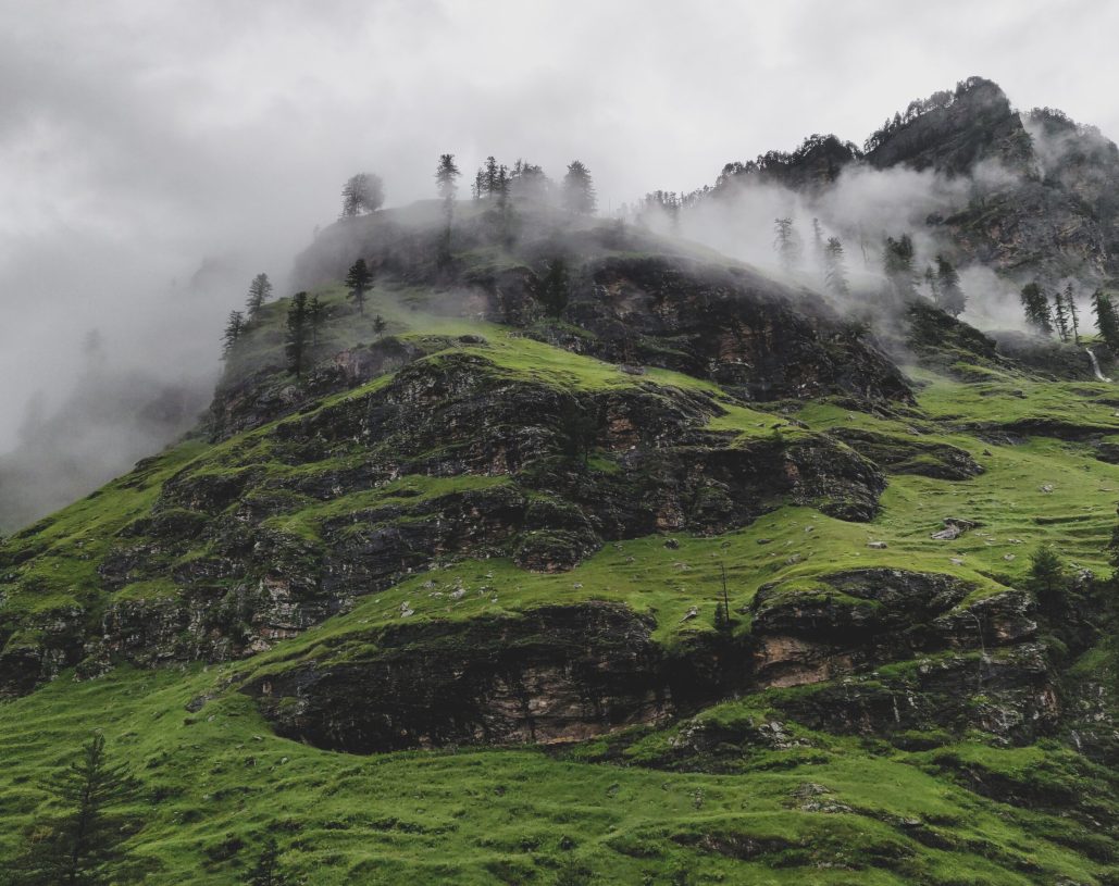 pexels-saifcom-7086913